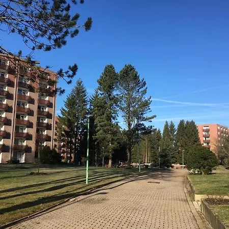 Ferienwohnung Schneeweißchen an der Therme Altenau  Exterior foto